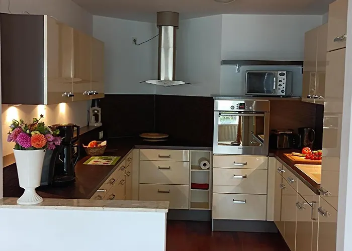 Casa Armin 公寓 巴特萨尔茨乌夫伦